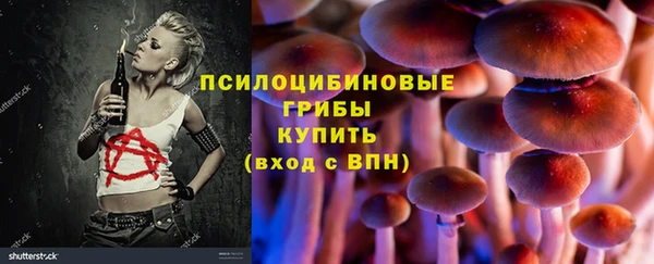 a pvp Инсар