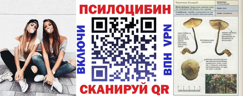 Галлюциногенные грибы Magic Shrooms  Артём 